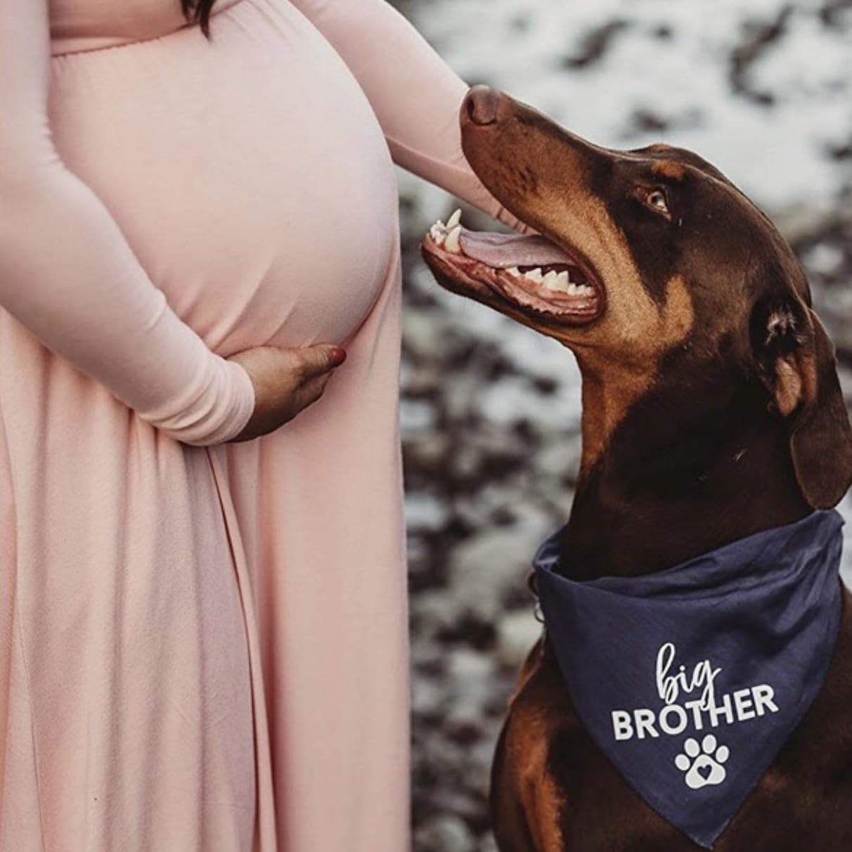 Big Brother With Heart Paw Baby Announcement Dog Bandana (Red, Os 87)