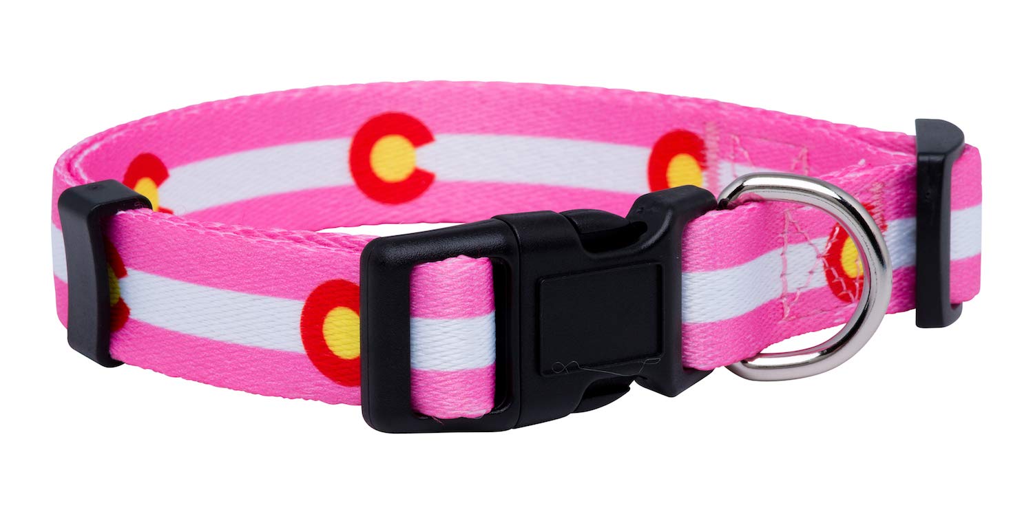 Native Pup Colorado State Flag Dog Collar (Colorado Pink, Medium)