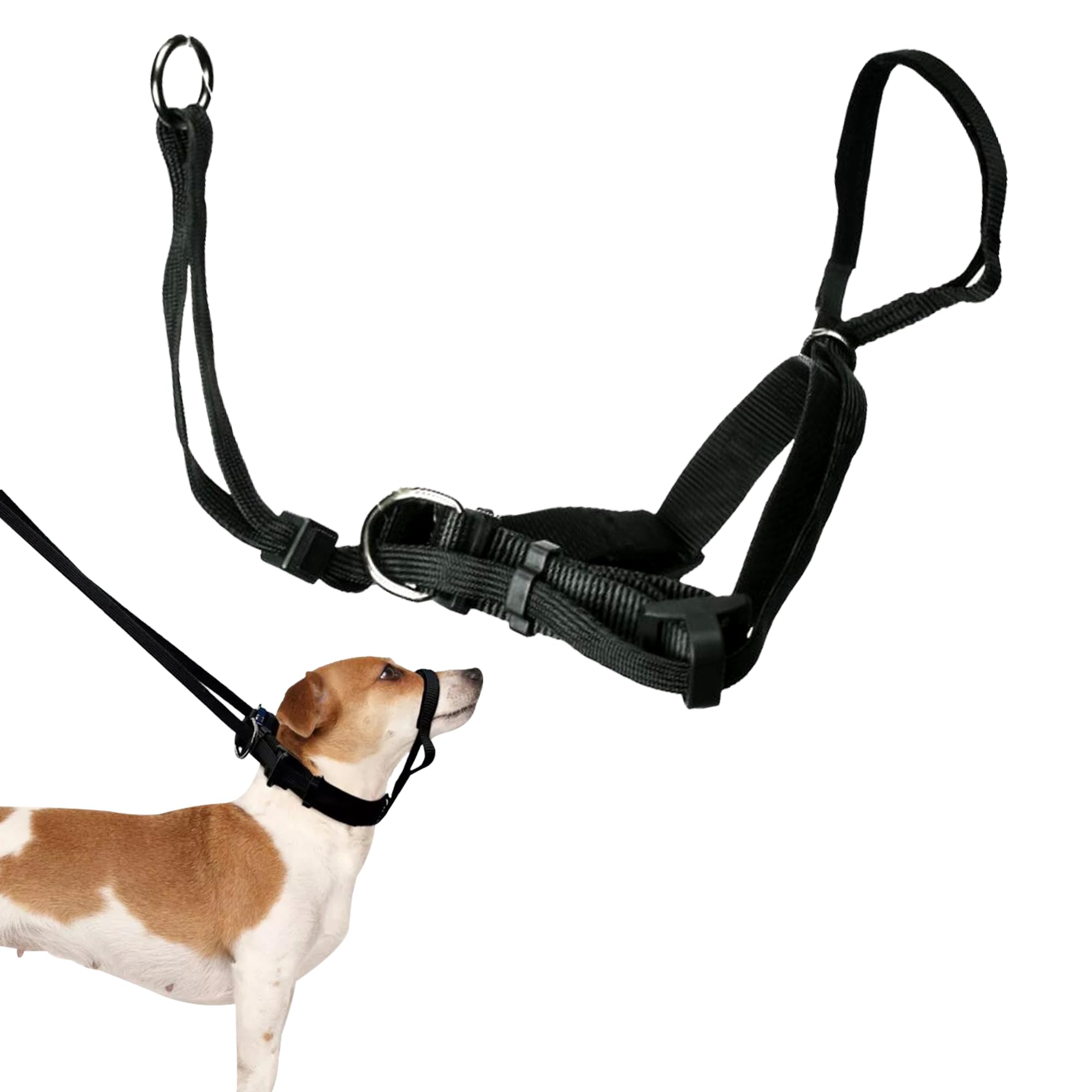 Sporn Yup! Pet Head Halter, Medium, Black, (33571)