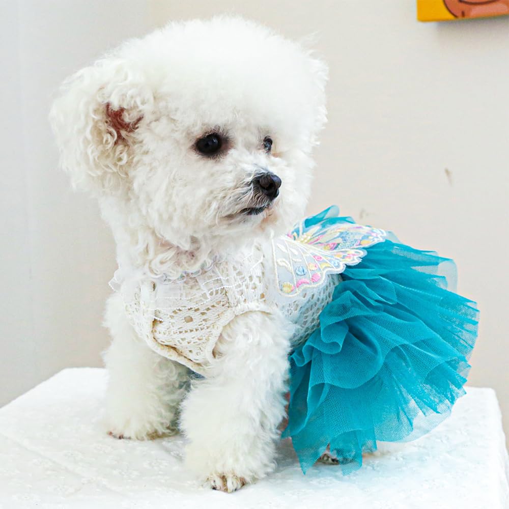 Aniac Butterfly Dog Dress With Blue Tutu Funny Pet Clothes With Wing Girl Puppy Dress For Small Dog Pet Butterfly Costume Holida