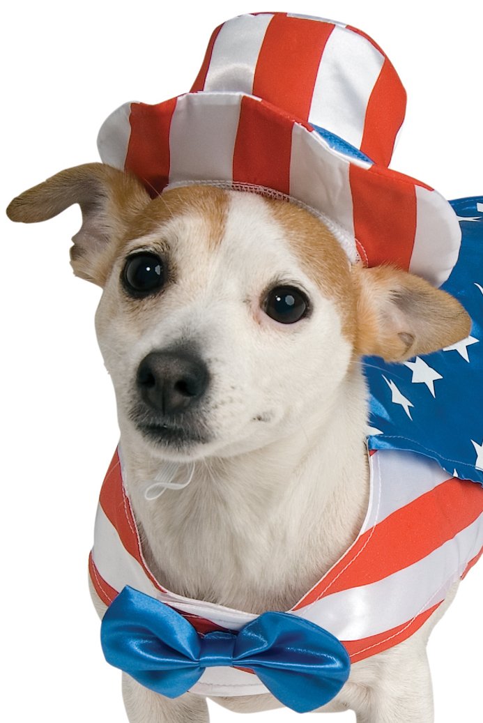 Rubie'S Uncle Sam Pet Costume, Medium