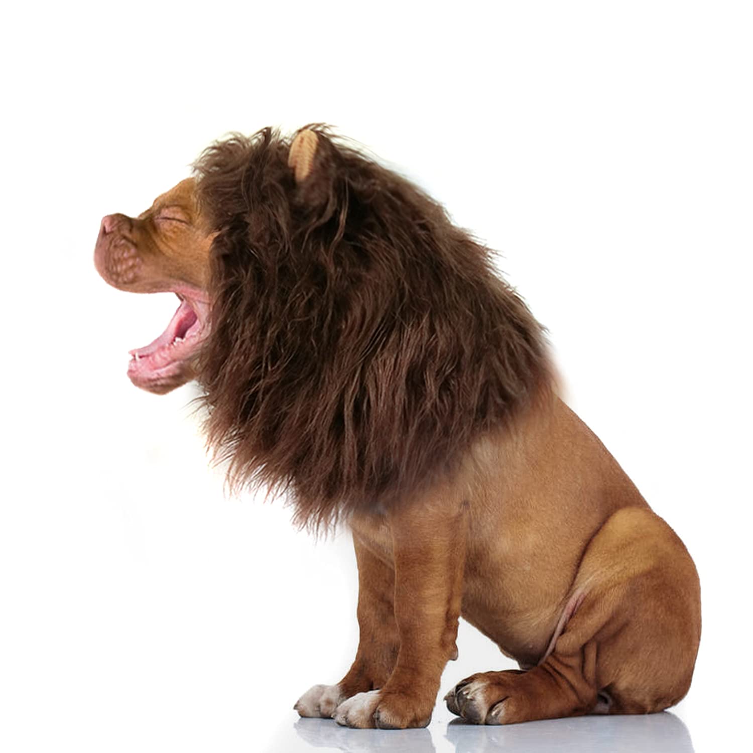 Onmygogo Lion Mane Wig For Dogs With Ears, Funny Pet Costumes For Halloween Christmas (Size L, Coffee)