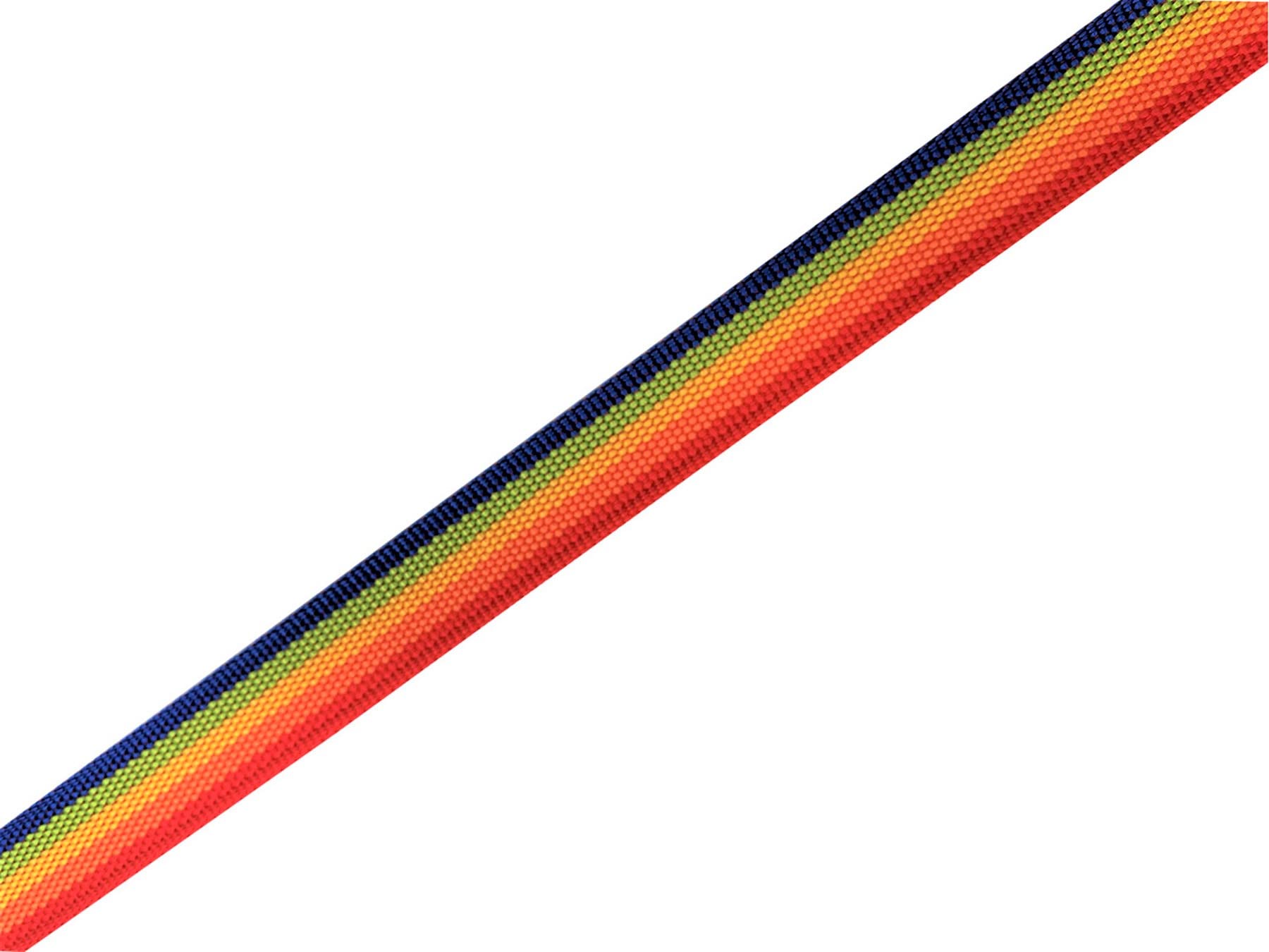 Nylon Dog Leash 8 Feet Long, Walking Training Dog Leashes For Medium Large Dogs(1'' X 8 Ft, Rainbow)