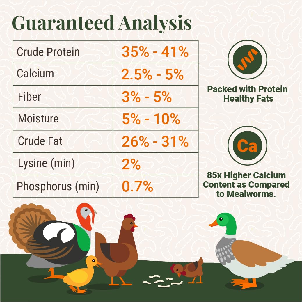 Supreme Grubs Natural Black Soldier Fly Larvae for Chickens, 85X More Calcium Than Mealworms-High Protein Grub Food Chicken Trea