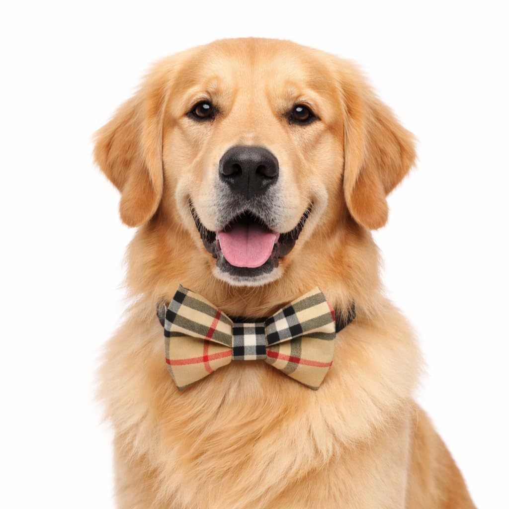 That Dog In Tuxedo Navy Blue Furberry Dog Bow Tie With Adjustable Collar (Navy Blue, Xl)