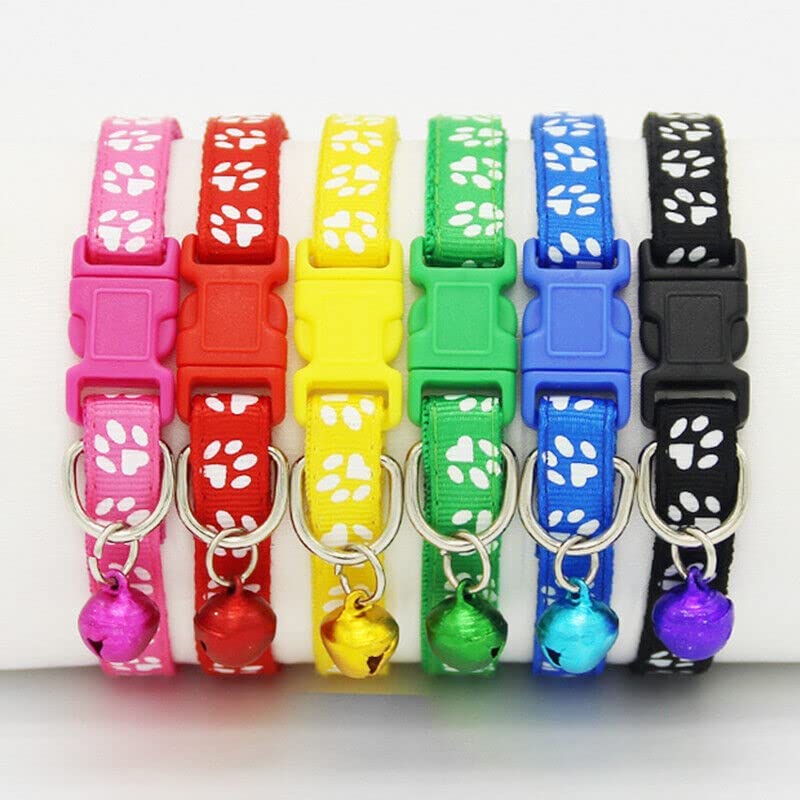 Dog Trust Nylon Adjustable Dog Collar Neck Band Colour May Very Panja Print 10 Mm Collar For Dogs Pack Of 1 Pcs Color May Vary