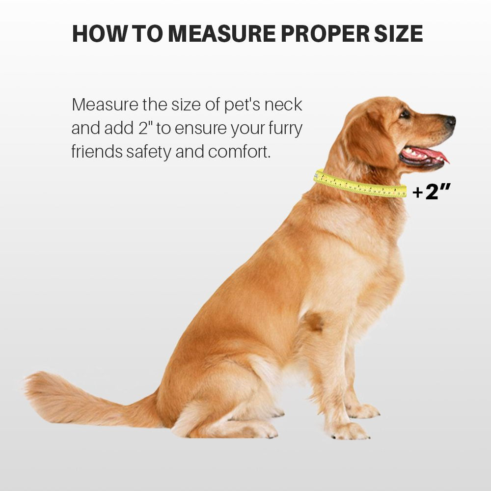 Hyhug Martingale Dog Collar Without Buckle: Escape-Proof, No Slip Heavy Duty Nylon, Colorfast Adjustable Pet Supplies for Large