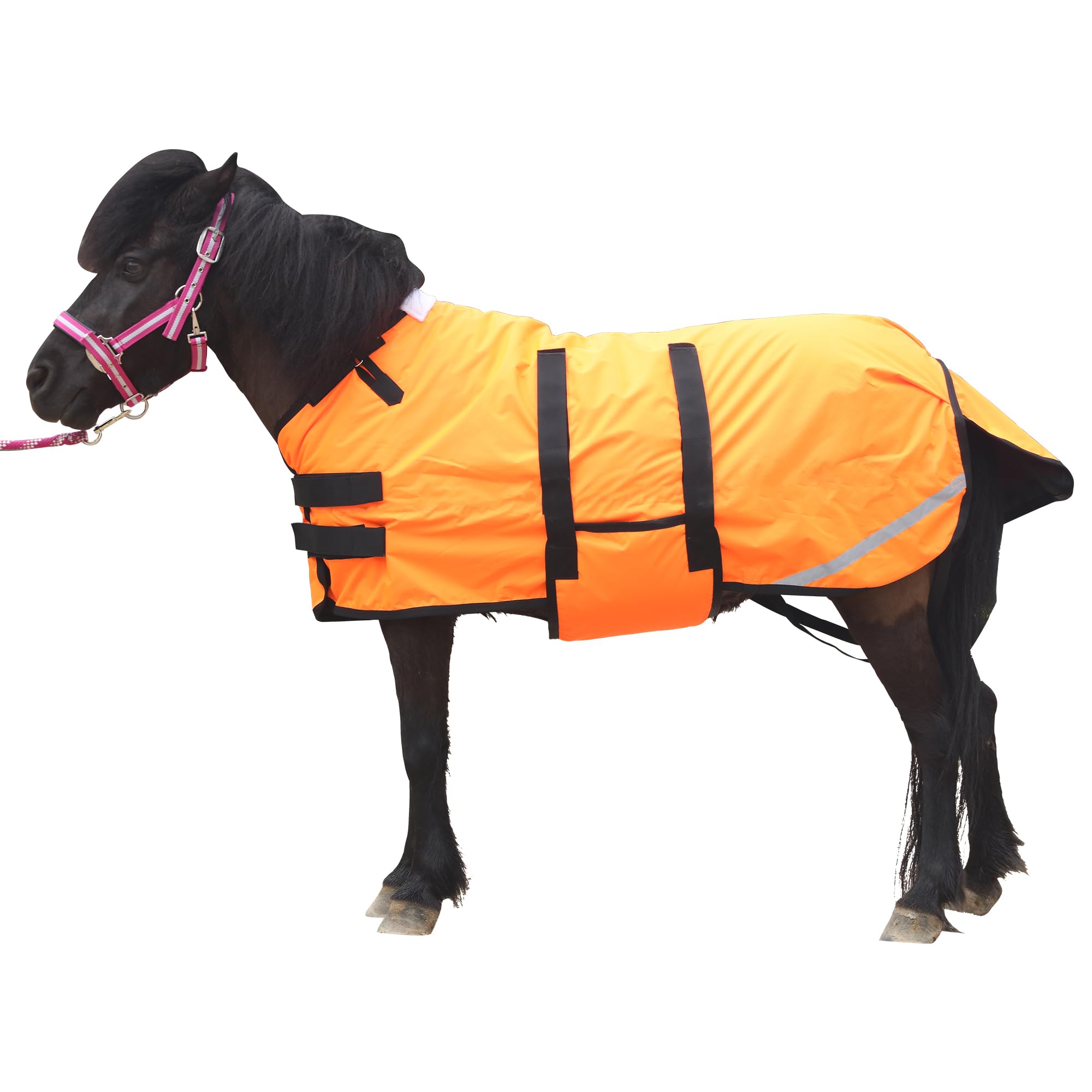 Gallopoff Foal/Mini Horse Size 30''-48'' Waterproof & Breathable 300 Denier Winter Turnout Blanket With 150G Polyfill Orange Med