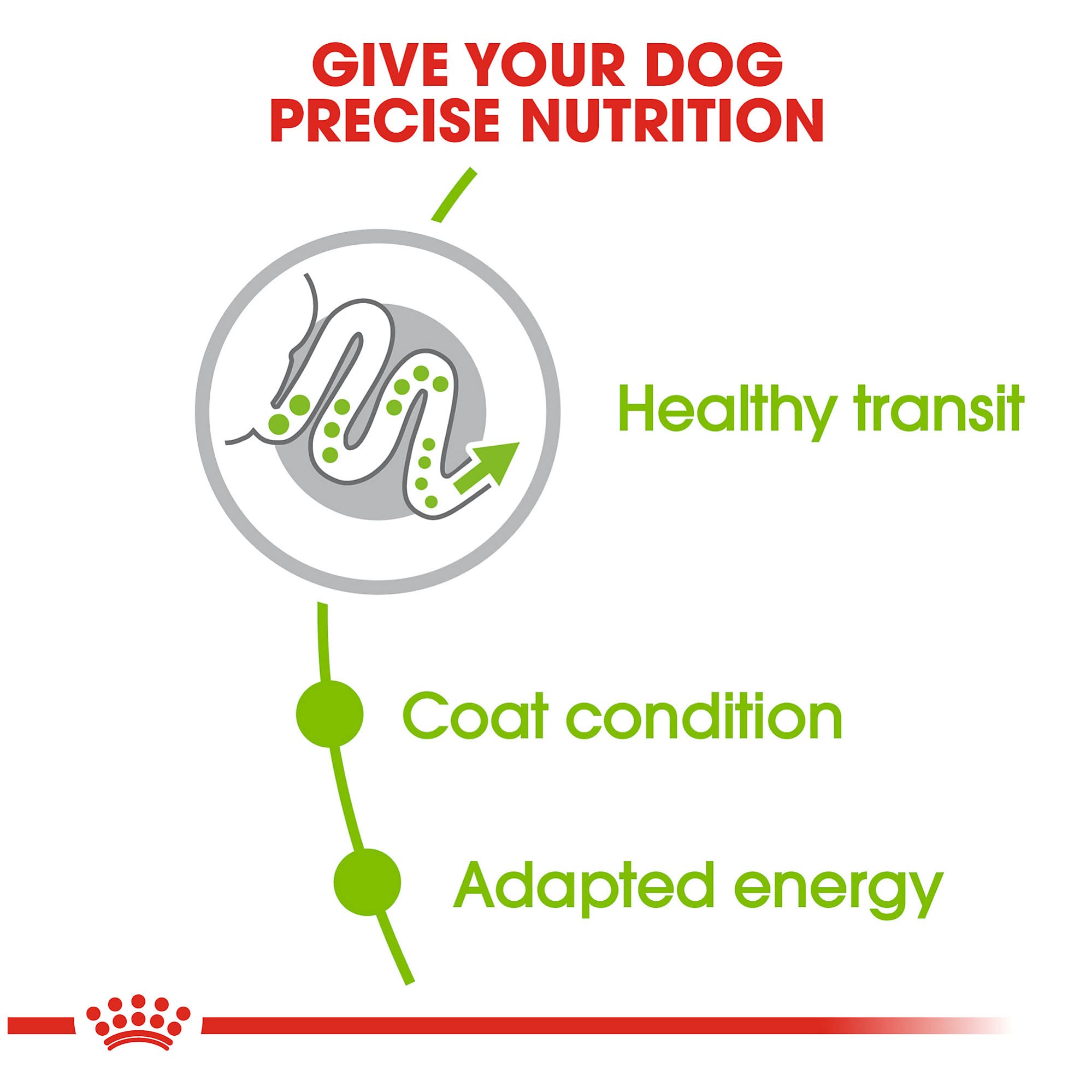 Royal Canin X-Small Adult Dry Dog Food, 2.5 lb bag