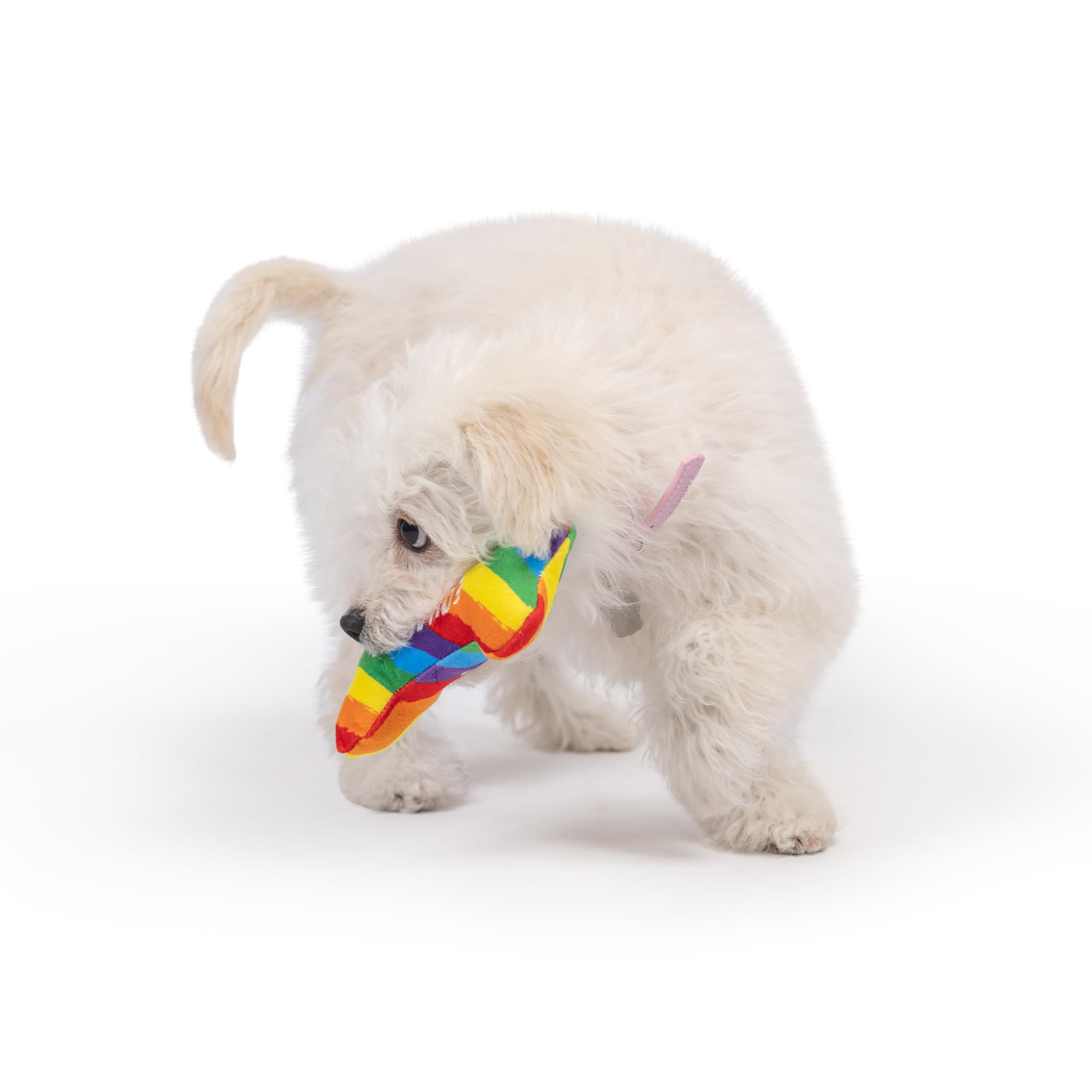 Huxley & Kent Funny Dog Toy - Squeaky Plush Equality Bone for Small Dogs, One Size, Rainbow, Durable Polyester, Model HK70068