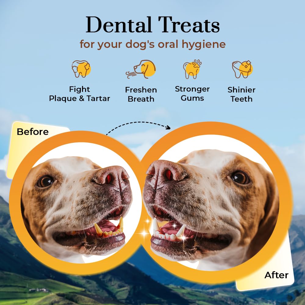 Dogsee Chews Small 100% Natural Himalayan Yak Chews  Smoke Dried  Long Lasting Healthy Treats for Active Chewers  Helps Fight Pl