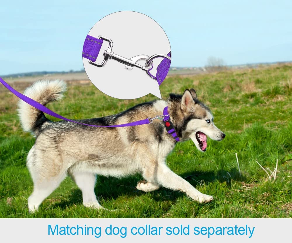 Taglory Double-Sided Reflective Heavy Duty Dog Leash 5Ft,Neoprene Padded Handle And Metal Hook Pet Training Leashes For Small Medium Large Dogs, Purple
