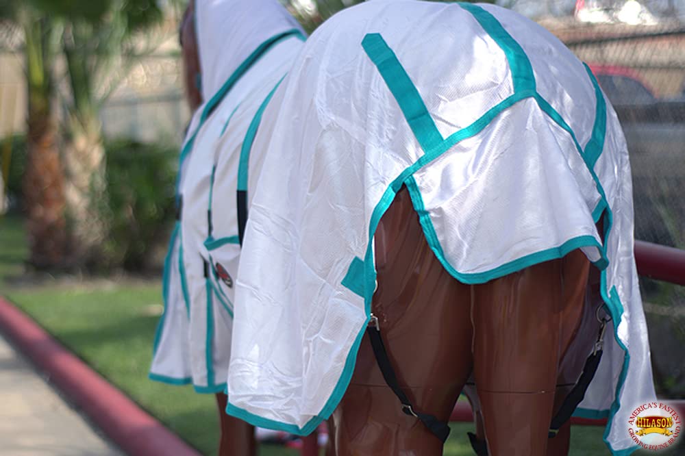 White With Turquoise Piping 84 Inch Hilason 84 Inches Horse Ultra Violet Rays Protect Mesh Bug Mosquito Horse Fly Sheet Summer S