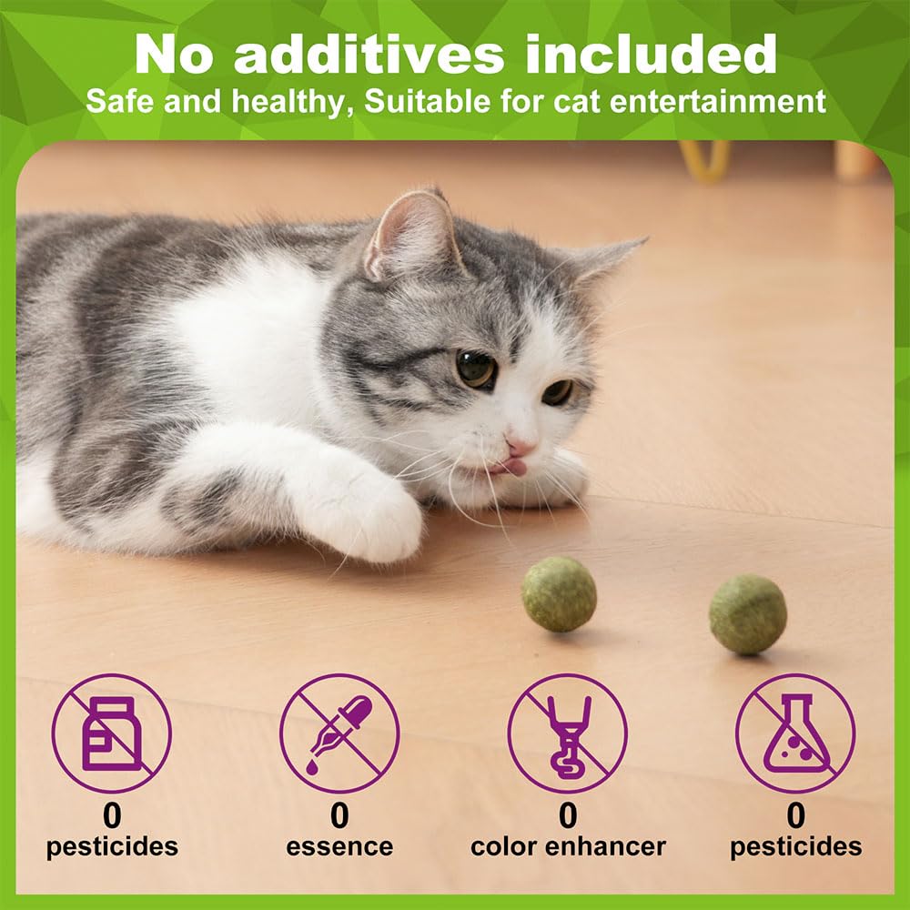 Nzlomxu Catnip Balls Kitten Cat Nip Ball Licker Toy Natural Catnip Ball For Cats Of All Breeds,Cat Lick Ball Toys That Fascinate