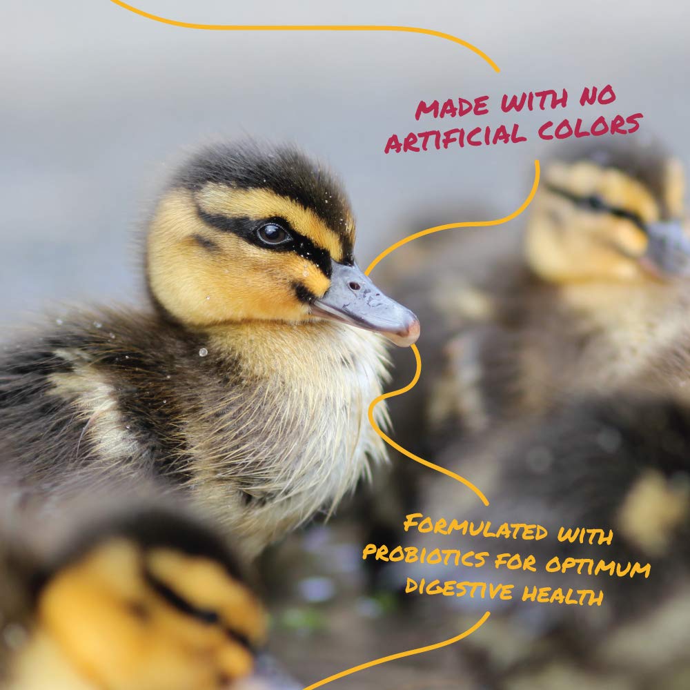 Manna Pro Duck Starter Grower Crumble - Non-Medicated Feed for Young Ducks - Supports Healthy Digestion - 25 Pounds