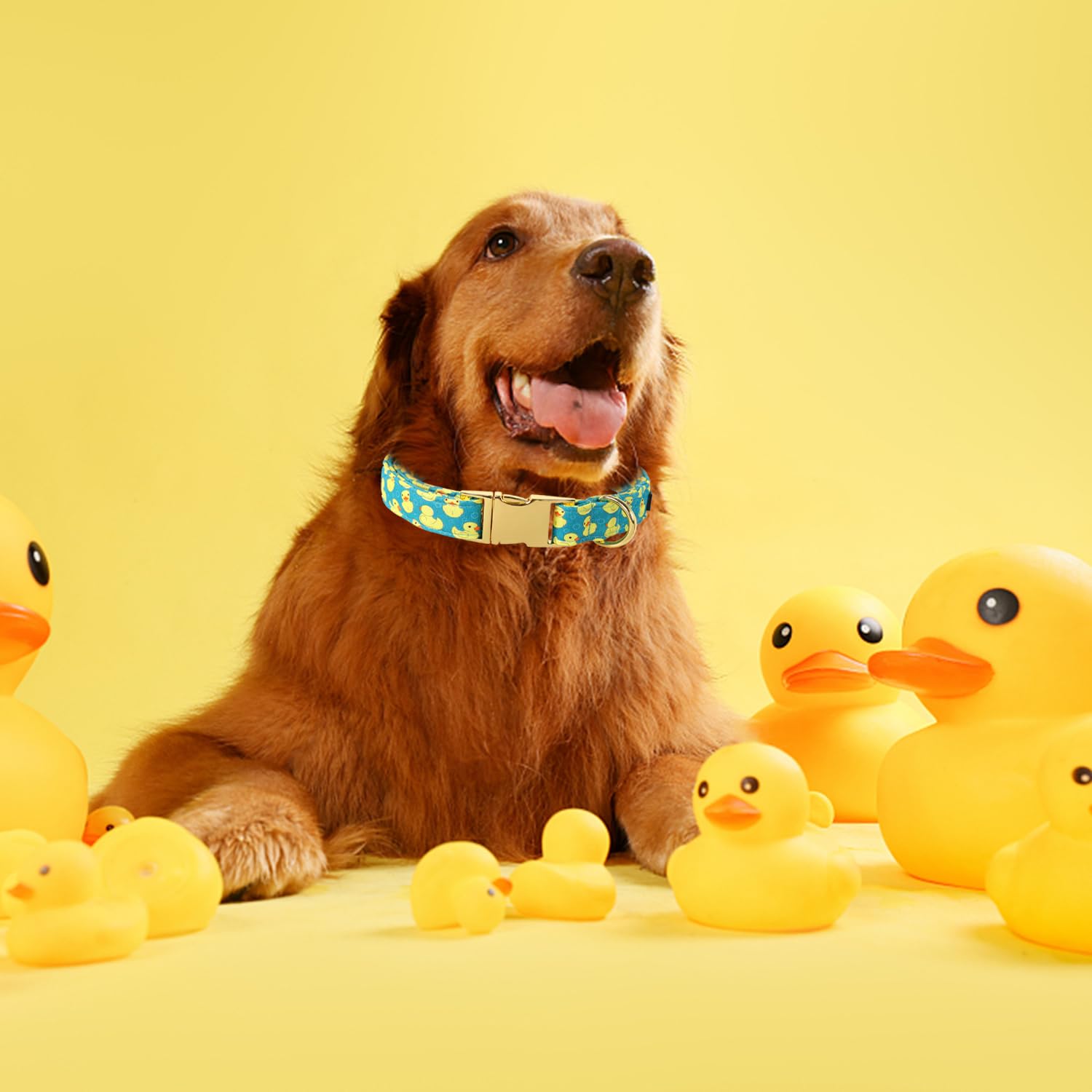 Maca Bates Cute Duck Green Dog Collar For Dogs Adjustable Thick Collars Accessories Gift For Small Medium Large Xl Girl Boy Male
