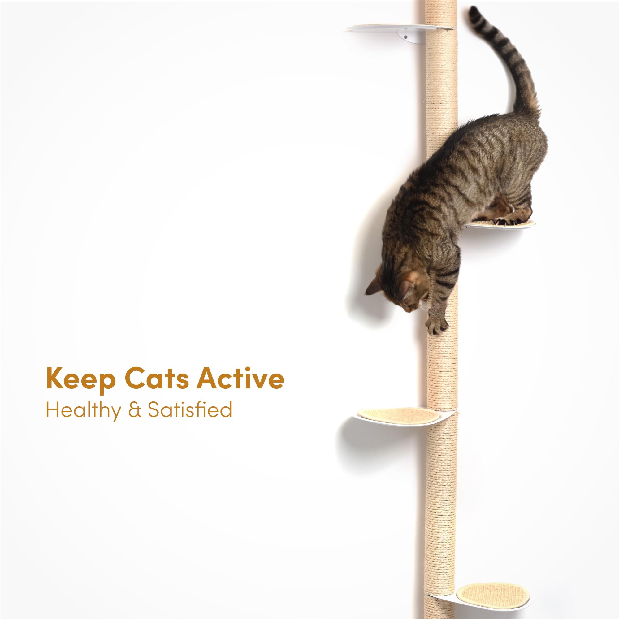 xympo 68" Tall Wall-Mounted Cat Tree, Natural Sisal, Alloy Steel Steps, Space-Saving Cat Shelf, Model PCP03-68N