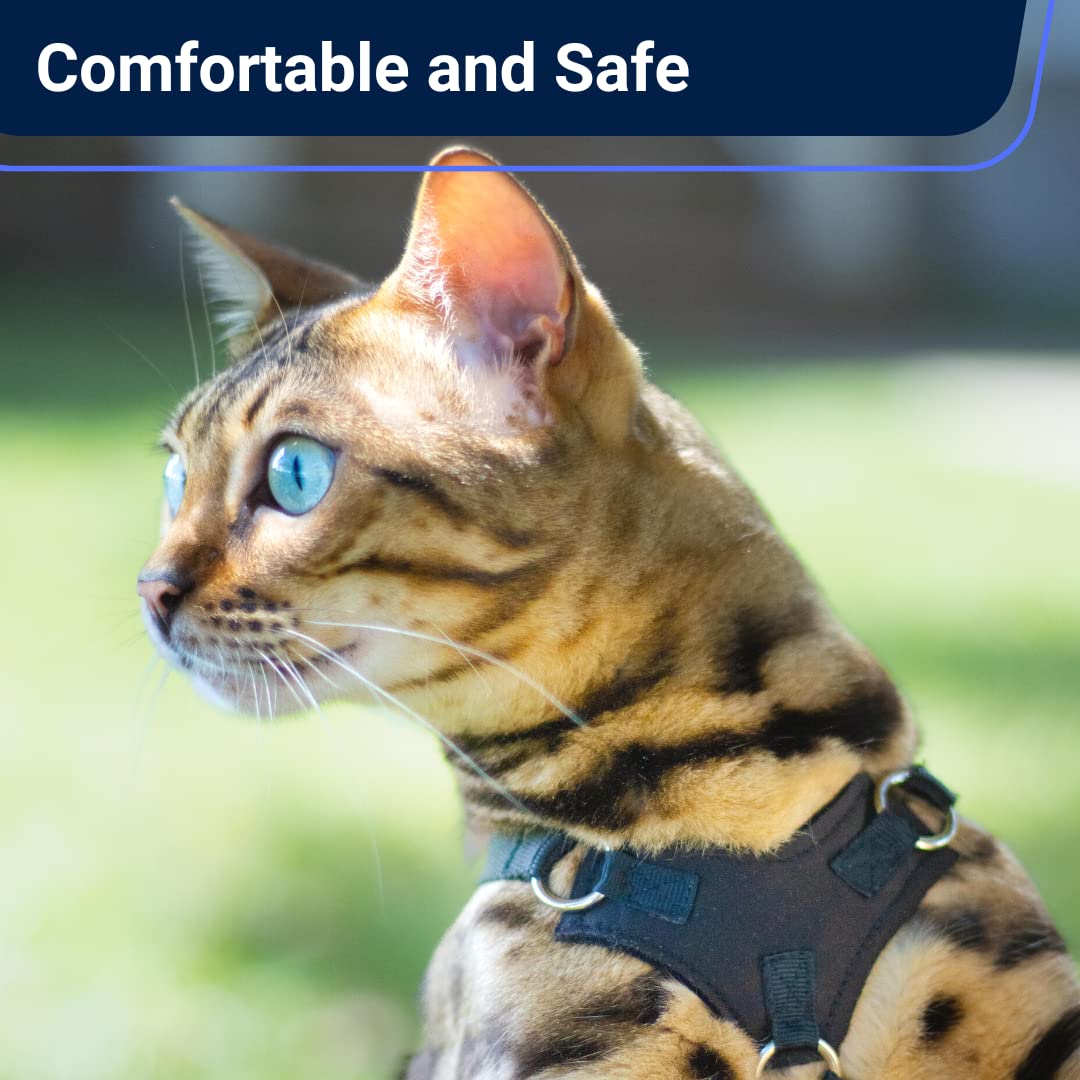 OutdoorBengal Houdini™ Escape Proof Cat Harness & Leash Set - Vegan Leather, Size S for Walking Cats and Kittens