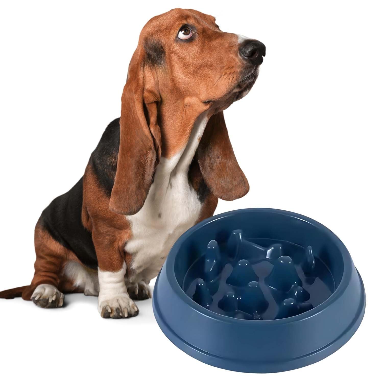 Sage Square Dog Slow Feeder Bowl  Fun Puzzle For Slow Eating, Helps Digestion, Reduces Choking & Gulping, NonSlip, Durable, Pe