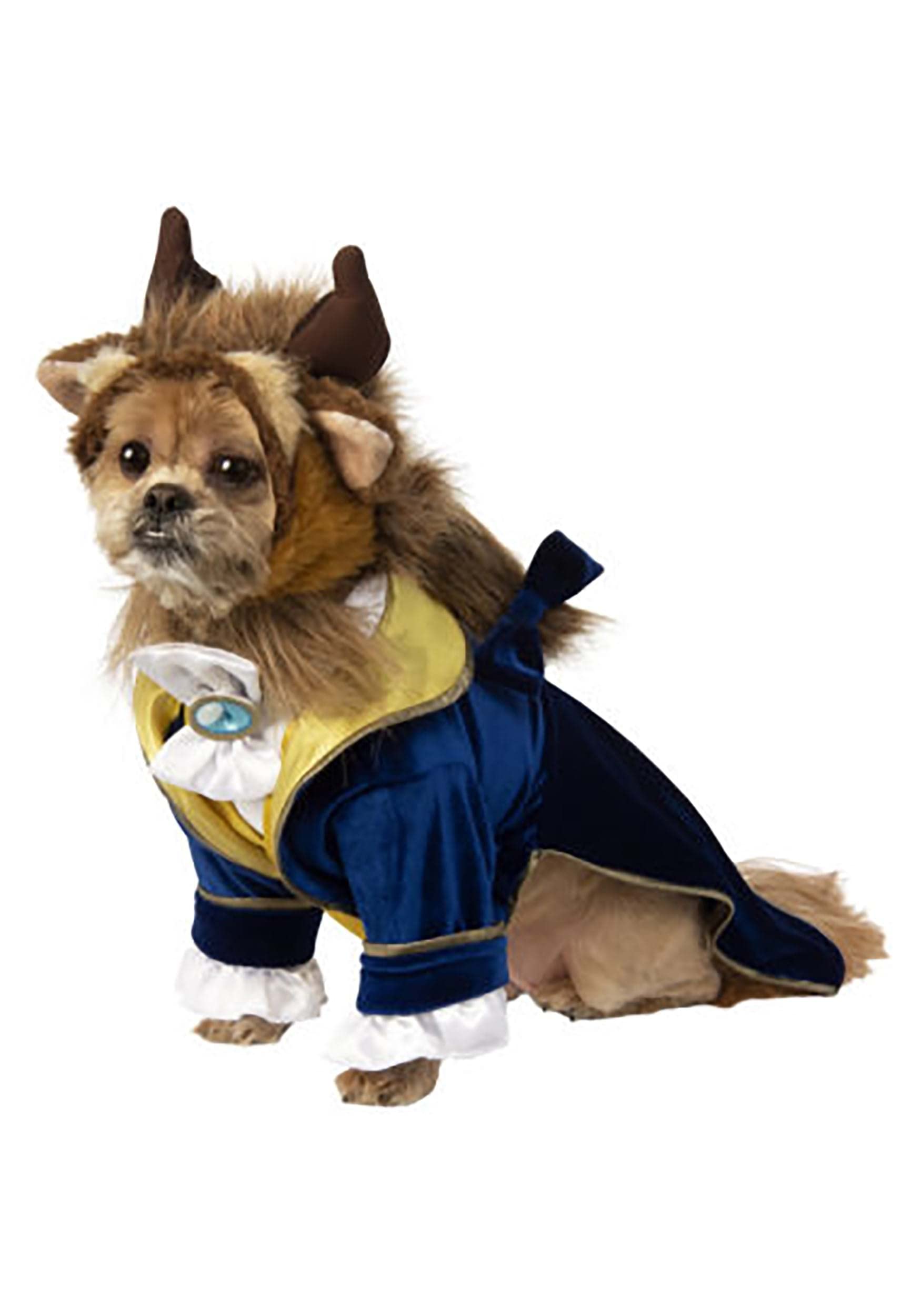 Rubies Disney Beauty & The Beast Pet Costume, XL, Navy Blue & Yellow, Halloween Themed Party, Model 200646LXL_XL