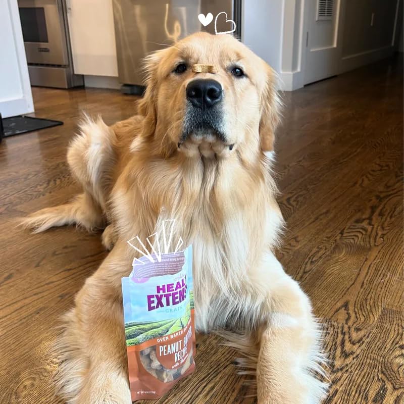 Health Extension Oven-Baked Dog Treats, 6oz (170g), Peanut Butter & Banana Recipe - Gluten & Grain-Free, Superfood-Infused, Crun