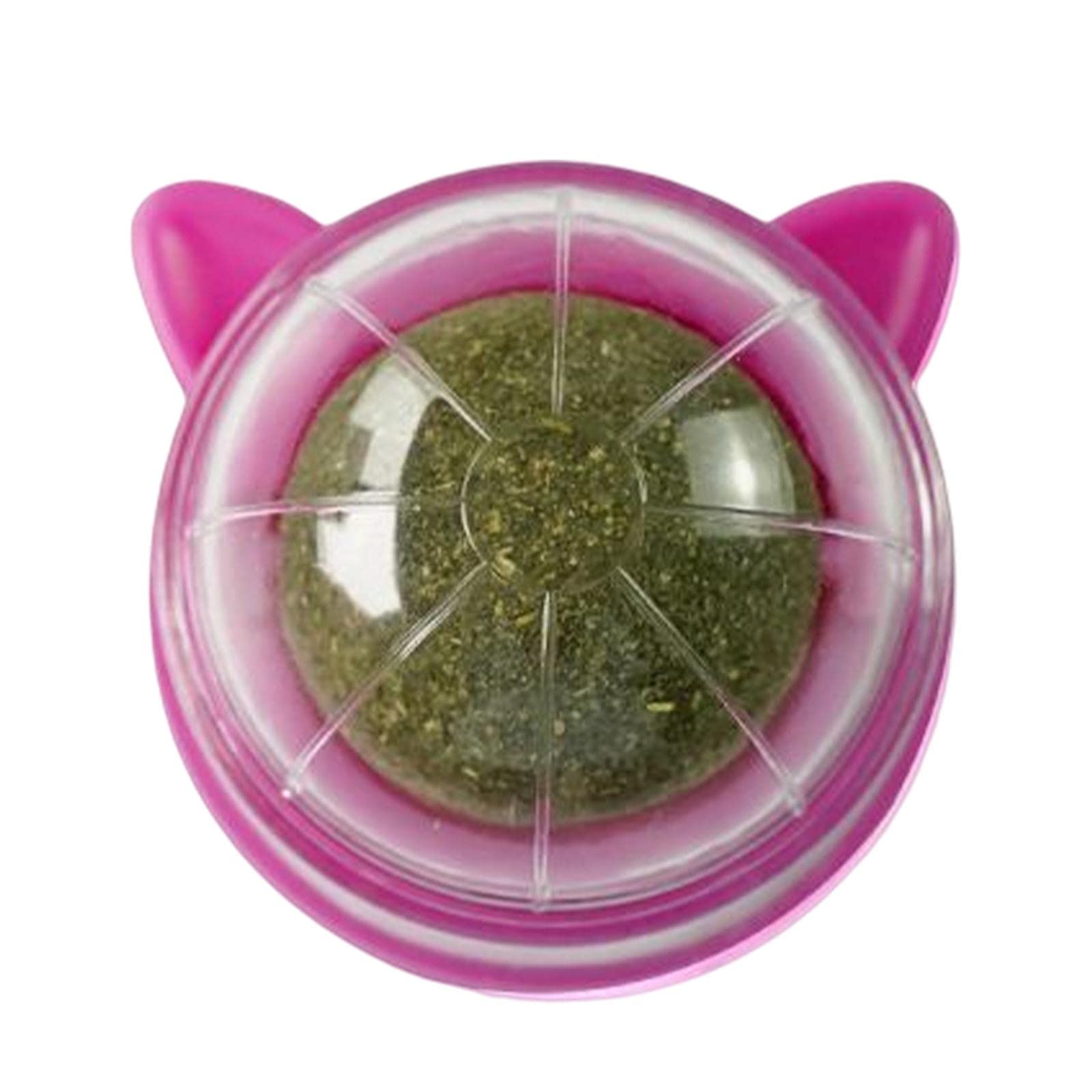 Ecomistiq Catnip Ball Toys Teething Toy Snack Pet French Windows With Lid Chew Cat Style T| Toys| Supplies |Pet