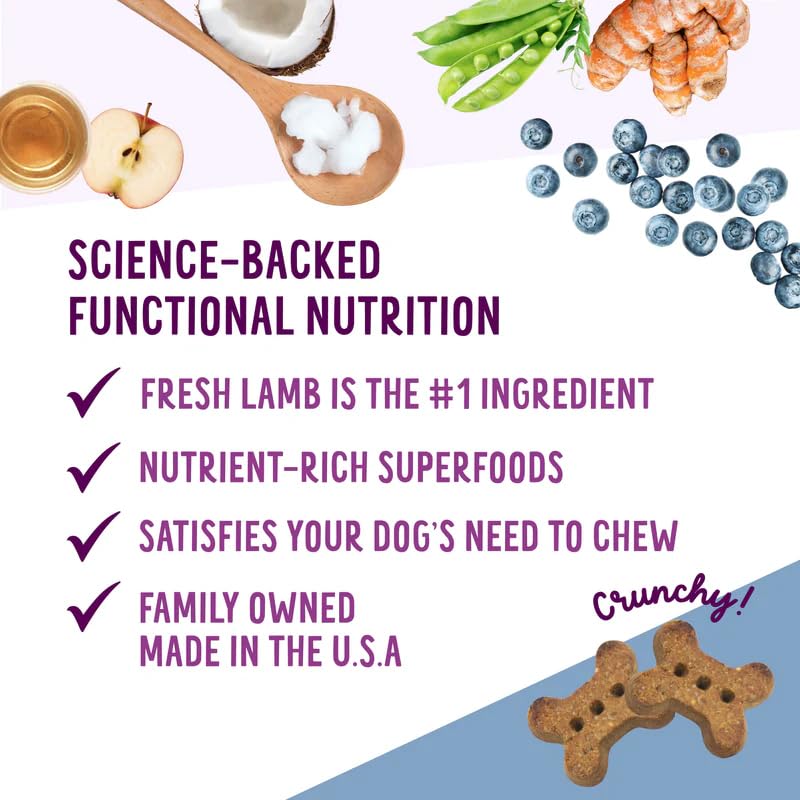 Health Extension Oven-Baked Dog Treats, 6oz (170g), Lamb & Blueberry Recipe - Gluten & Grain-Free, Superfood-Infused, Crunchy Bi