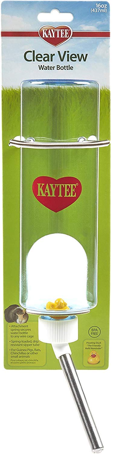 Clear Water Bottle [Set of 3] Size: Large