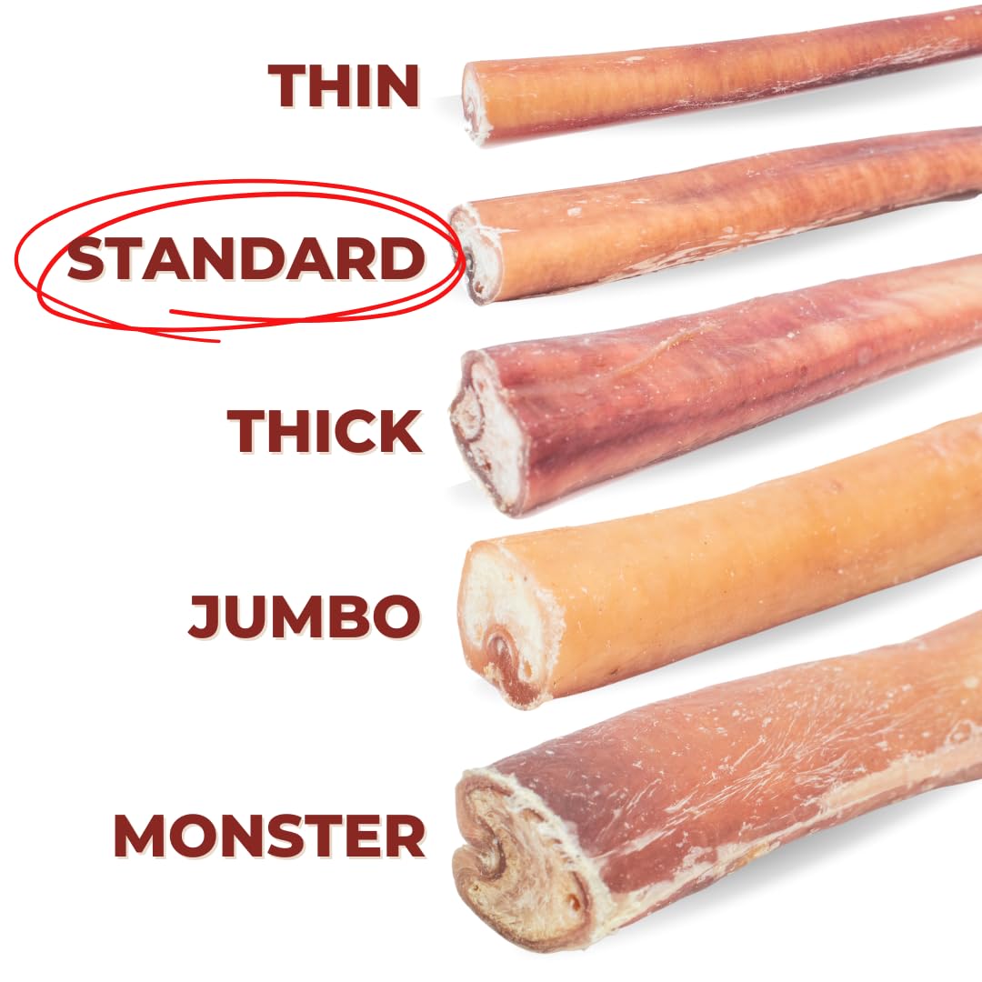 Bully Bunches Premium 6 Inch Standard Odor-Free Bully Sticks for Small to Medium Dogs & Puppies - Long Lasting Chews for Oral Ca