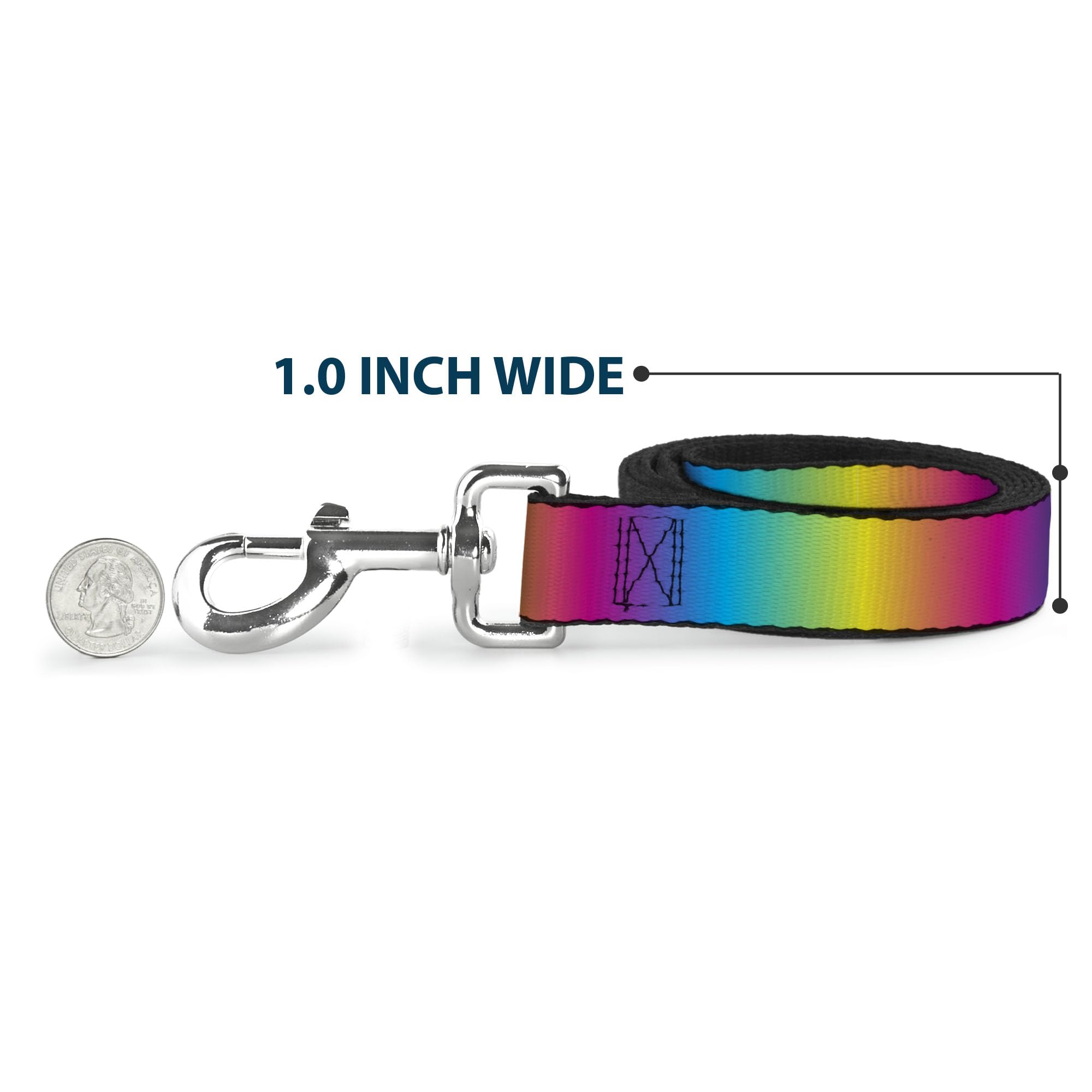 Buckle-Down Pet Leash - Rainbow Ombre - 6 Feet Long - 1 Wide