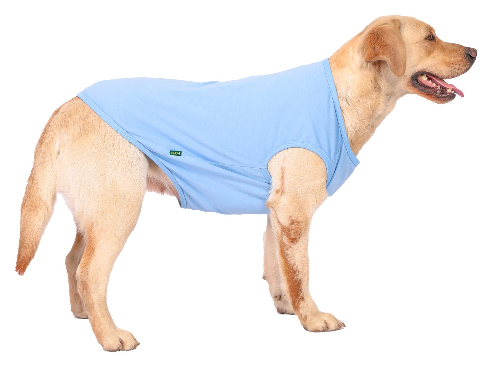 Sychien Dog Blank Blue Shirt,Boy Girl Dogs Medium Tee Shirts,Plain French Bulldog T-Shirt,M Blue Royal