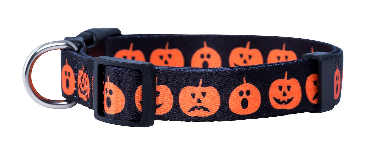 Native Pup Halloween Dog Collar (Medium, Big Pumpkins)