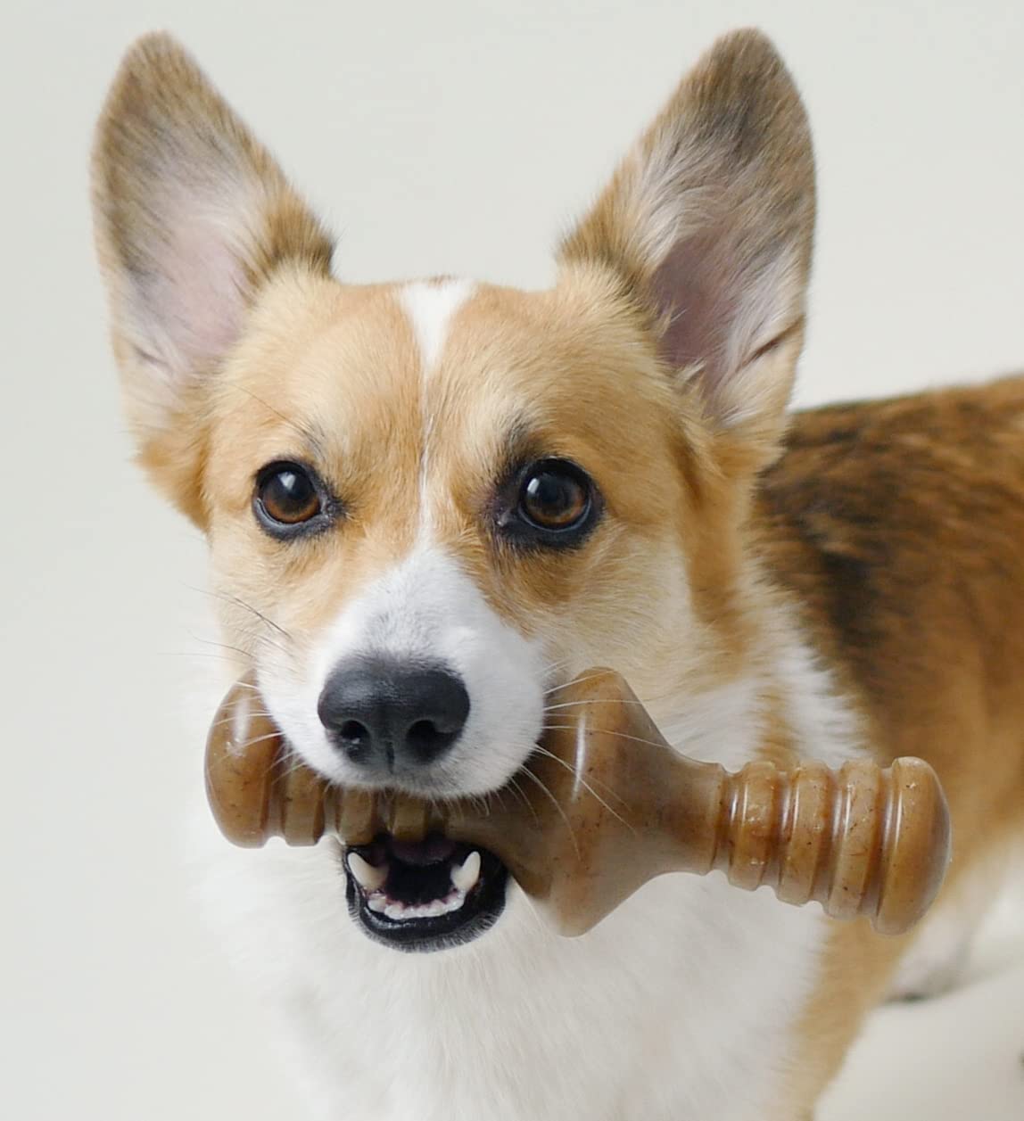 Benebone Small 4-Pack Dog Chew Toys For Aggressive Chewers, Made In Usa, 30Lbs And Under