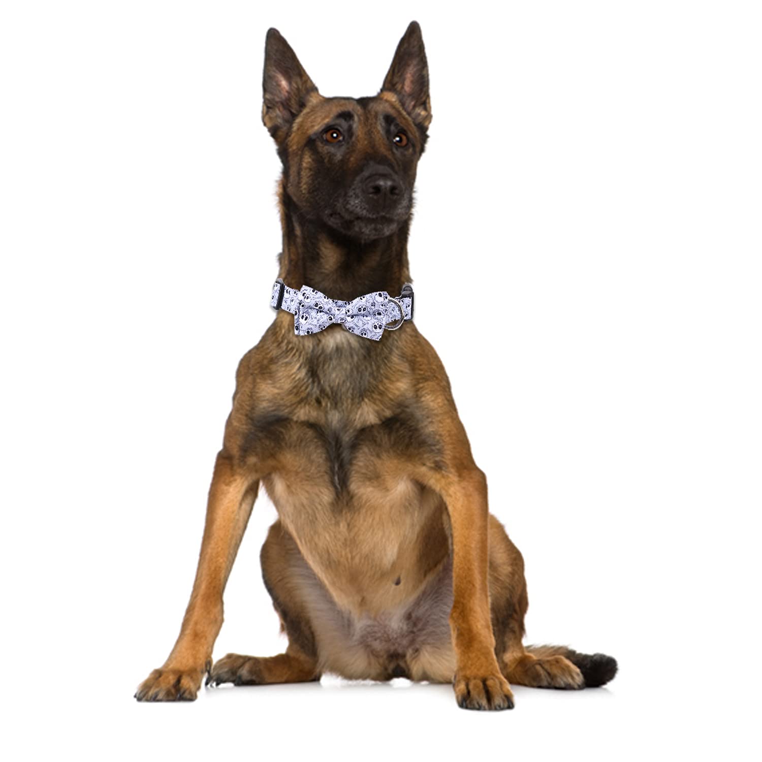 Halloween Dog Collar With Removable Cute Bow Tie Adjustable Pet Collars Medium