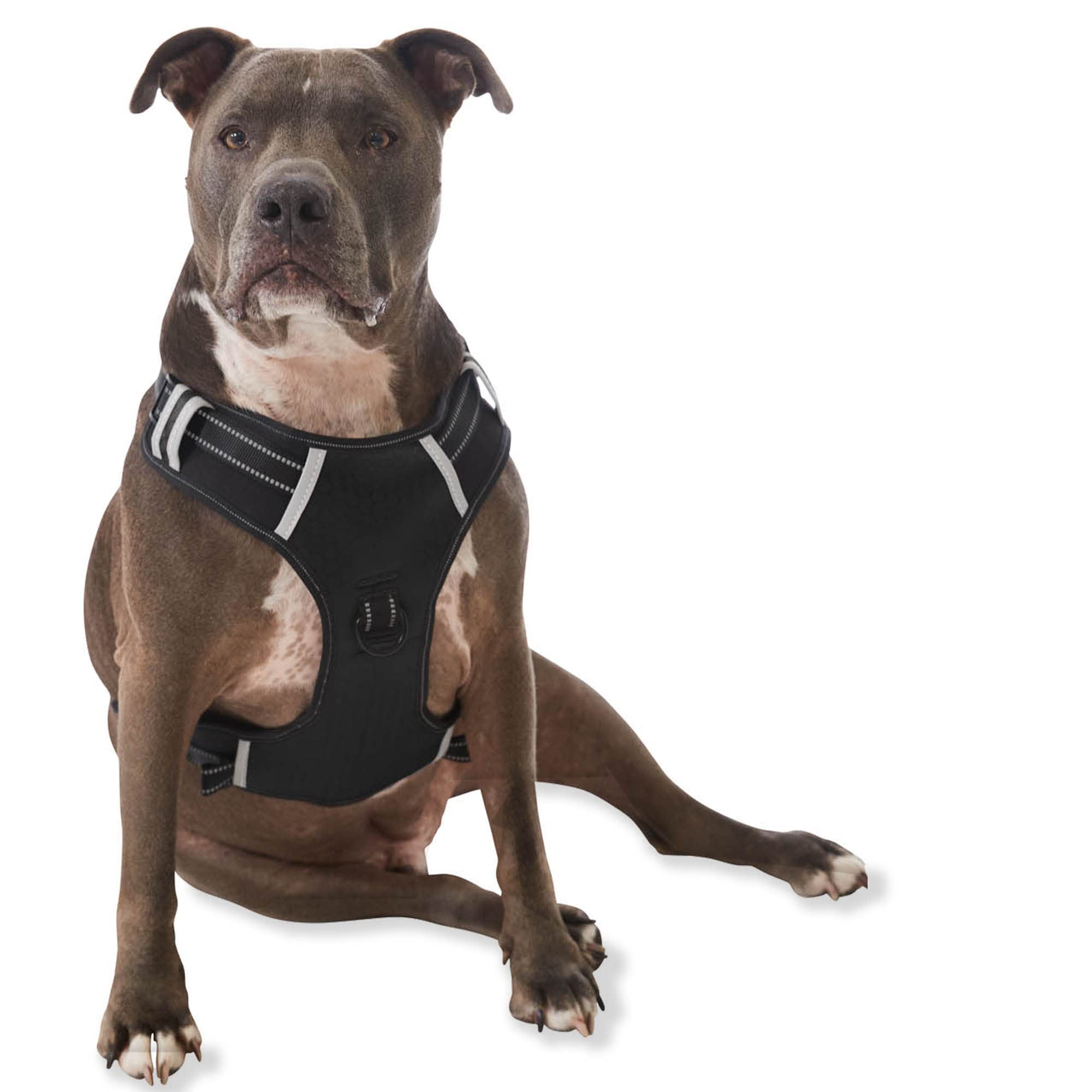 Espawda Padded Comfort Harness With No Pull Design For Small Dogs, Medium Dogs And Big Dogs (Medium, Black)