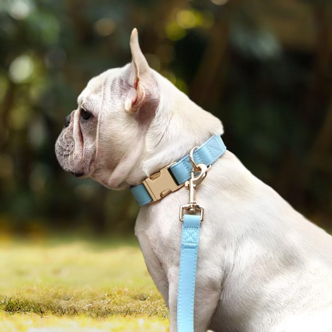 Pet Artist Soft Leather Dog Collar And Leash Set, Bright & Stylish 5Ft Leather Leash And Collar Set, Heavy Duty Dog Collars With