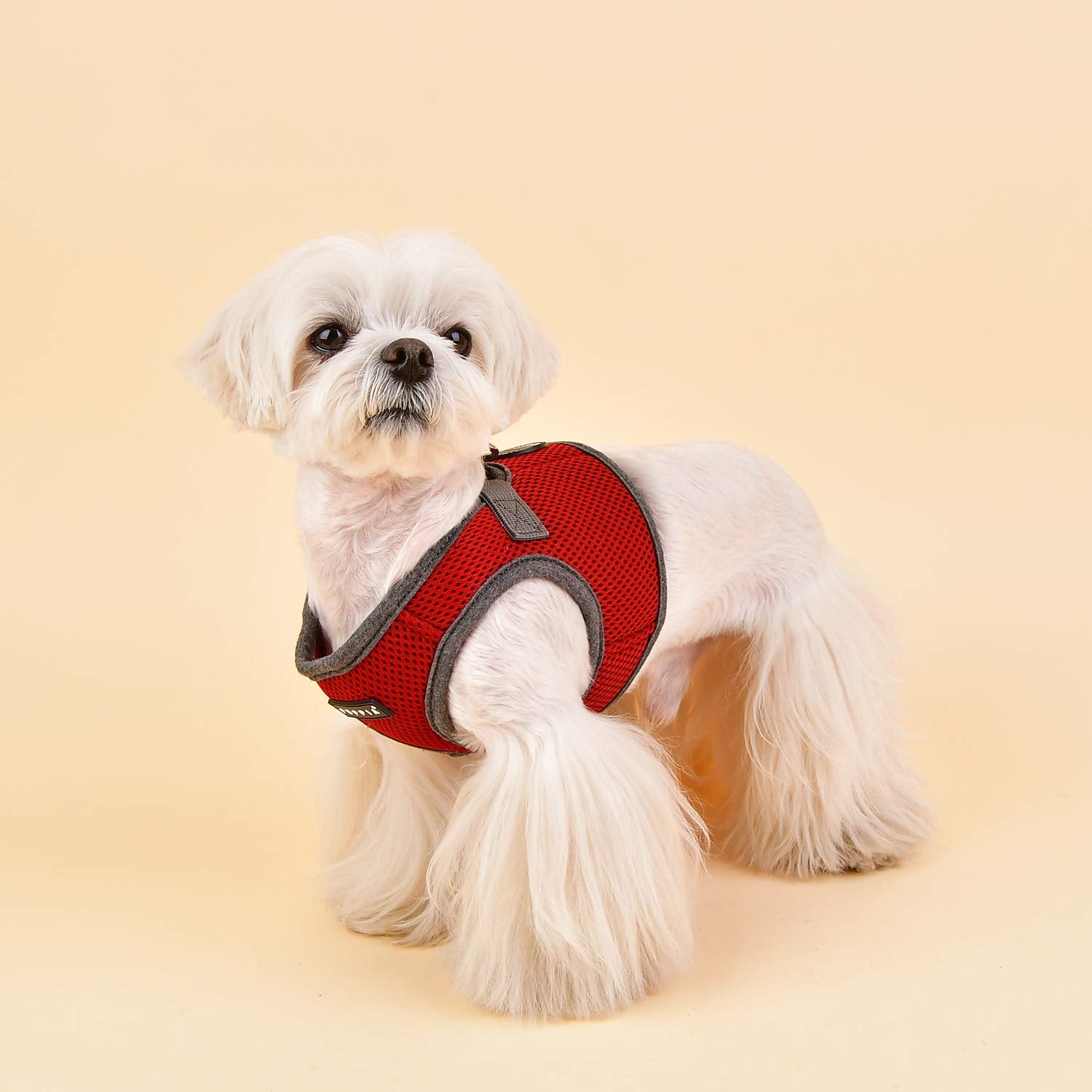 Puppia Soft Vest Harness B Ii - Wine - M