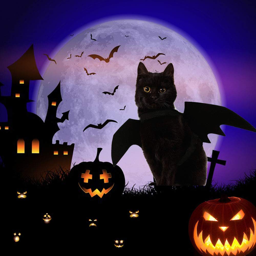 Pet Cat Bat Wings For Halloween, Cosplay Bat Wing Costume Decoration For Puppy Dog Cat