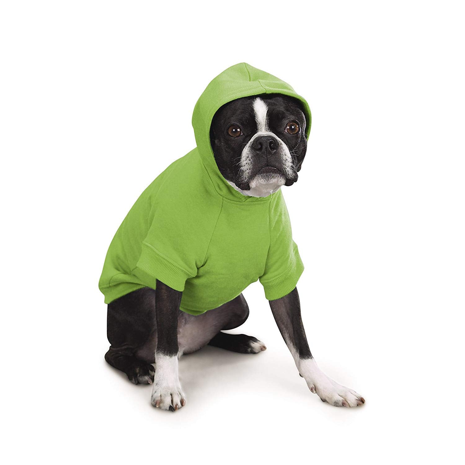Zack & Zoey Basic Hoodie For Dogs, 8' X-Small, Parrot Green