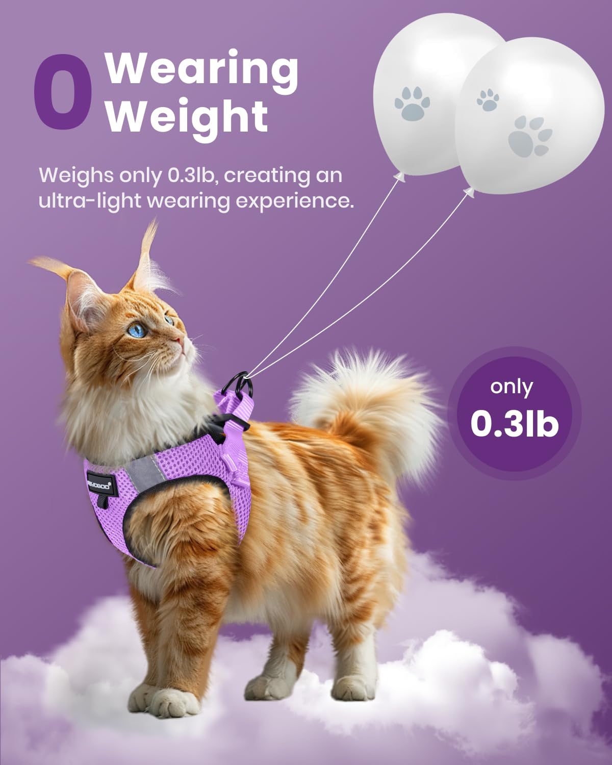 Fayogoo Cat Harness, Cat Leash And Harness Set For Walking Escape Proof, Harness For Small Cats/Small Dogs, Large Kitten/Puppy H