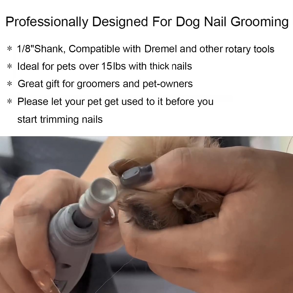 Ovatavo Dog Nail Grinder Attachment For Dremel - 1/8    Diamond Rotary Nail Grinder Bits For Large Medium Dogs Nail Care - Gift