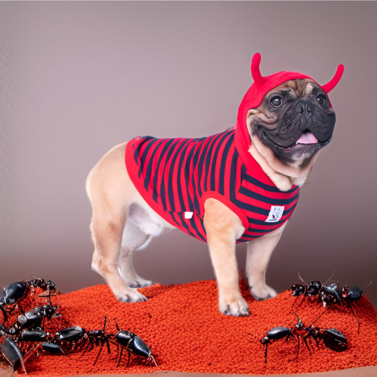 Ichoue Little Devil Fire Ant English Bulldog Costumes Hoodies Clothes Outfits Funny Cosplay Winter Coats Sweaters Pullovers For