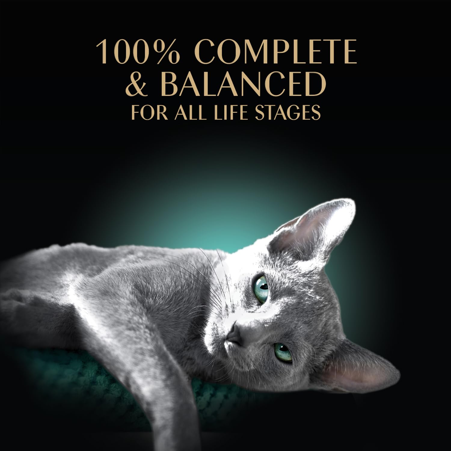 Sheba Perfect Portions Wet Cat Food Cuts in Gravy with Sustainable Tuna, 2.6 oz., Twin-Pack Trays (24 Count, 48 Servings)