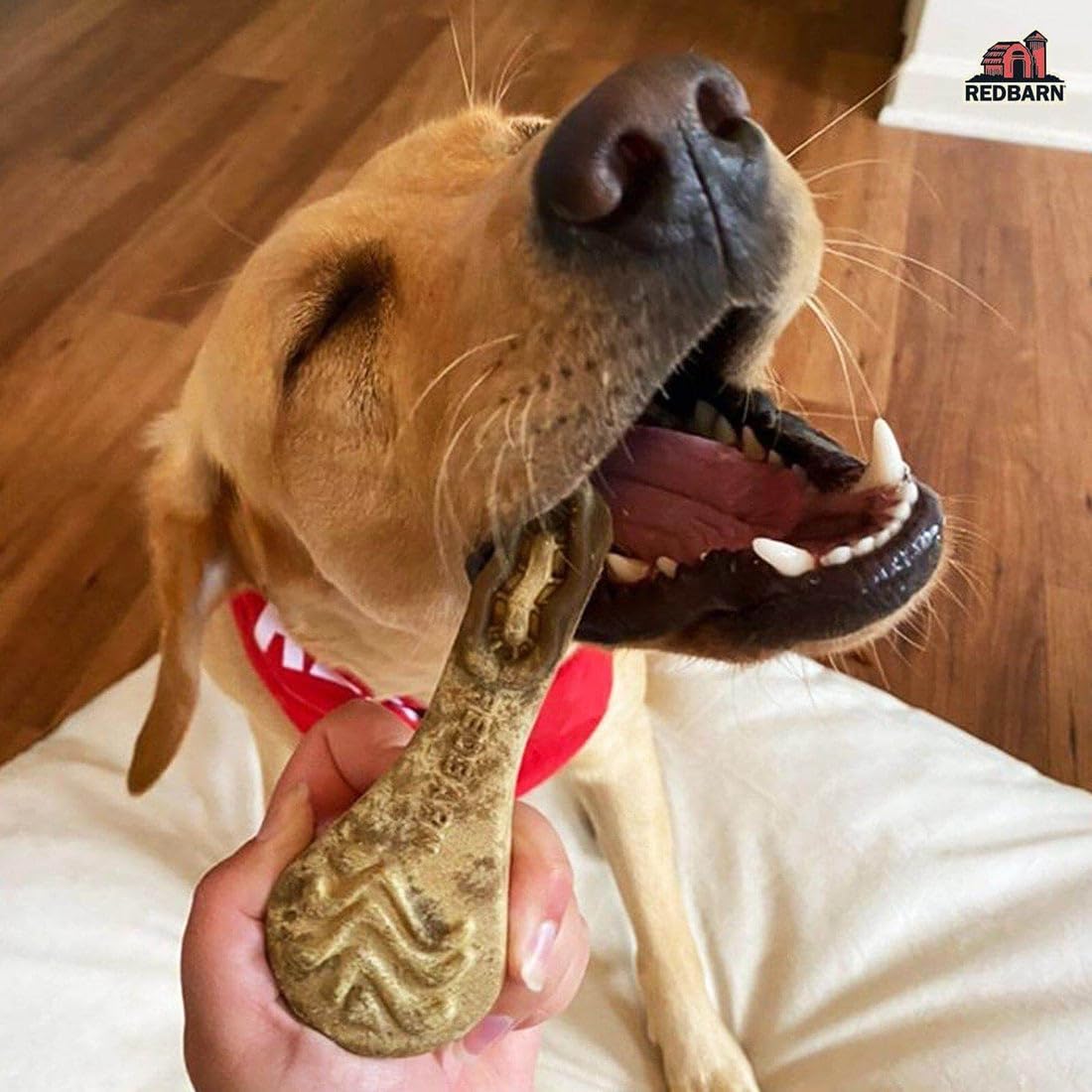 Redbarn Chew-A-Bulls, 6 Pack - Large Brush Shape Dog Dental Treats - Daily Oral Care with Fun Ridges & Grooves, All Natural Ingr