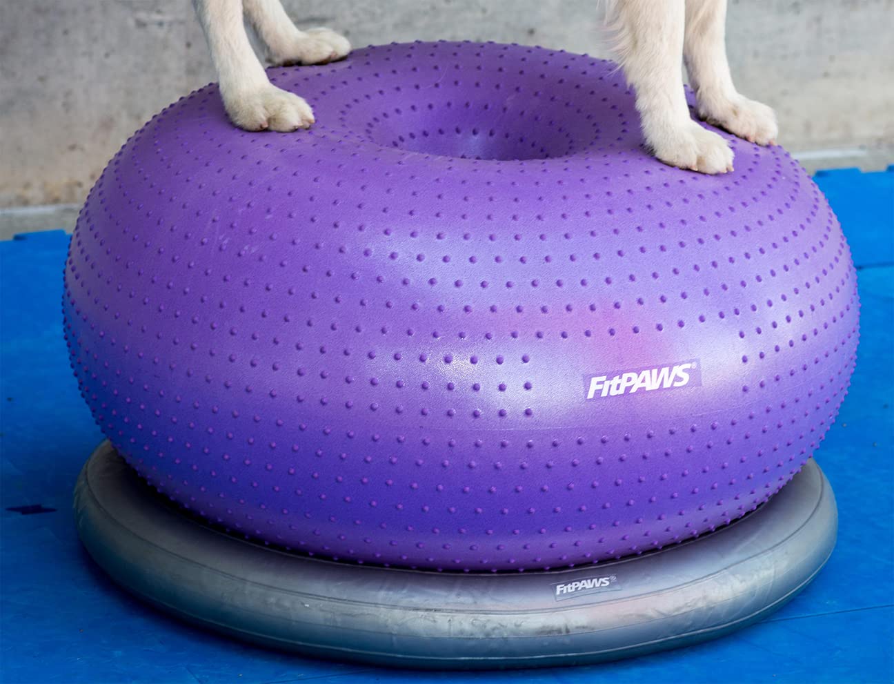 Fitpaws® Circular Product Holder For Fitpaws® Trax™ Donut | Dog Fitness And Agility Equipment