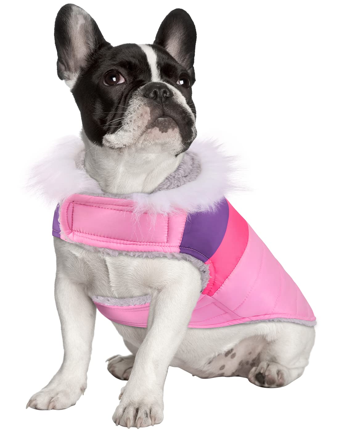 Hde Dog Puffer Jacket Fleece Lined Warm Dog Parka Winter Coat With Harness Hole Pink Stripe - M