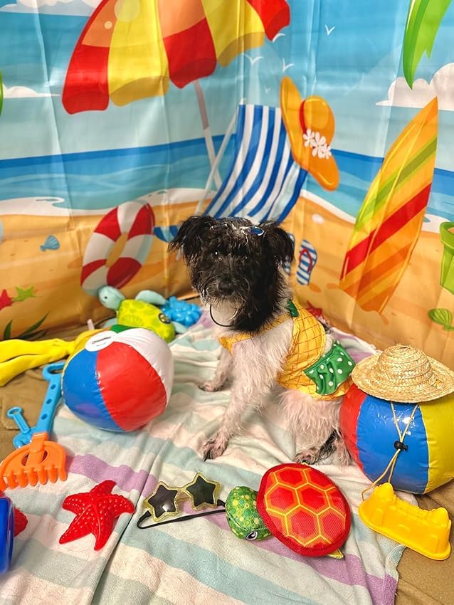 Funny Dog Swimwear Bikini Summer Dog Clothes Beach Swimsuit Puppy Bathing Suit Puppy Vest Cooling Shirts Pet Shirt For Small Dog