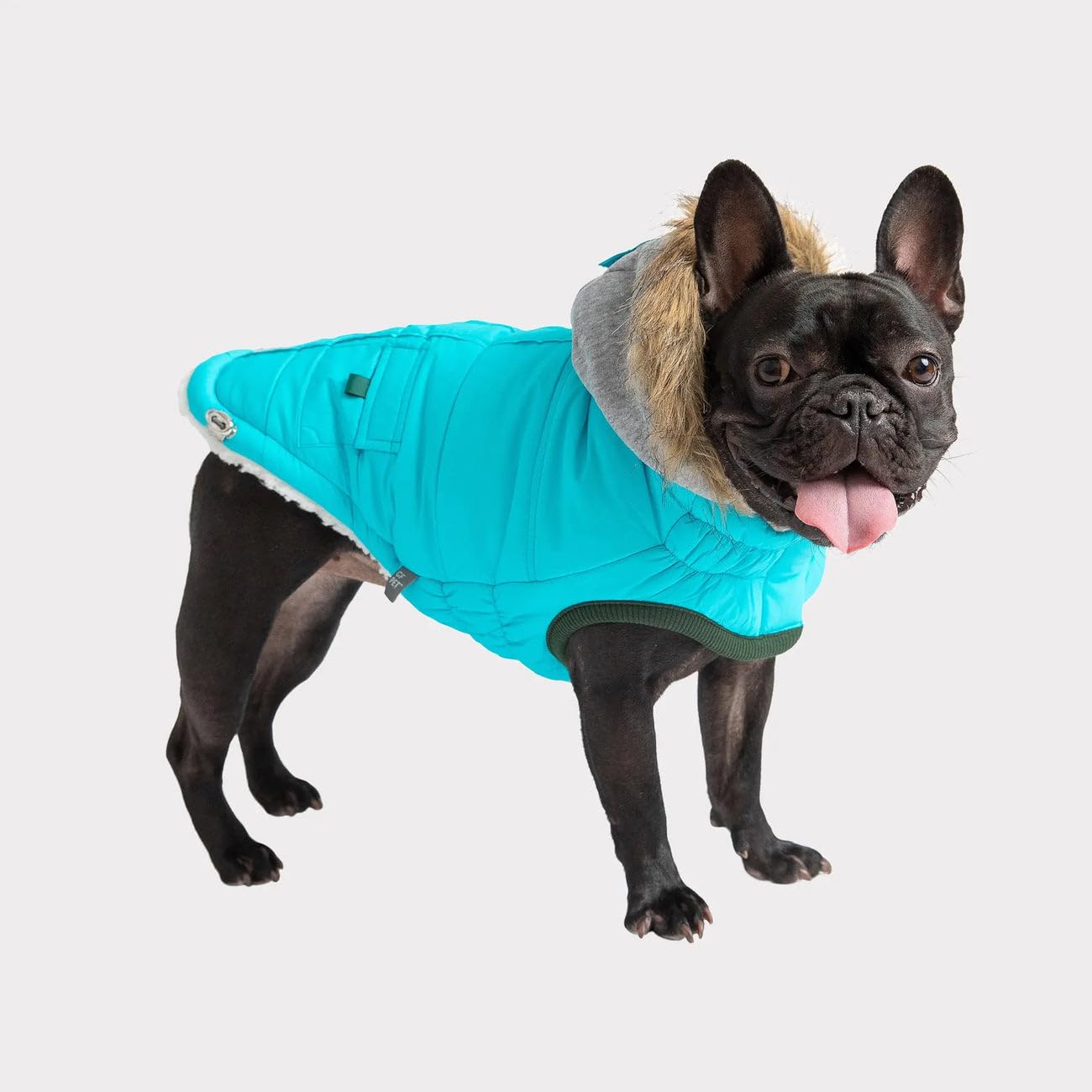 Gf Pet - Winter Sailor Parka - (X-Large, Aqua)
