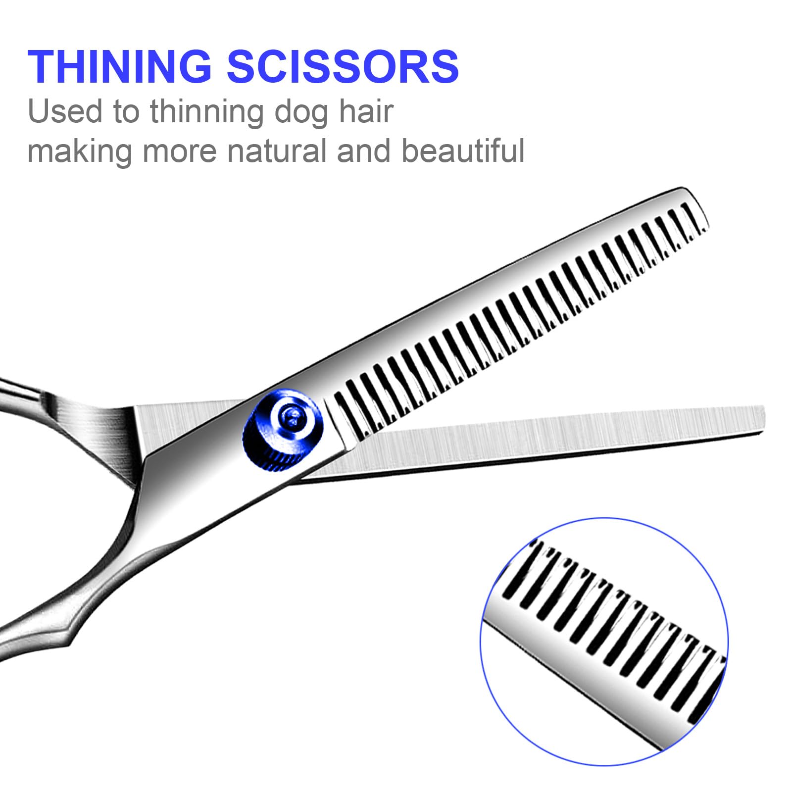 TINMARDA Dog Grooming Scissors Kit, 5 in 1 Stainless Steel, 6.5" Blue, Titanium Coated, Model TMD0401201