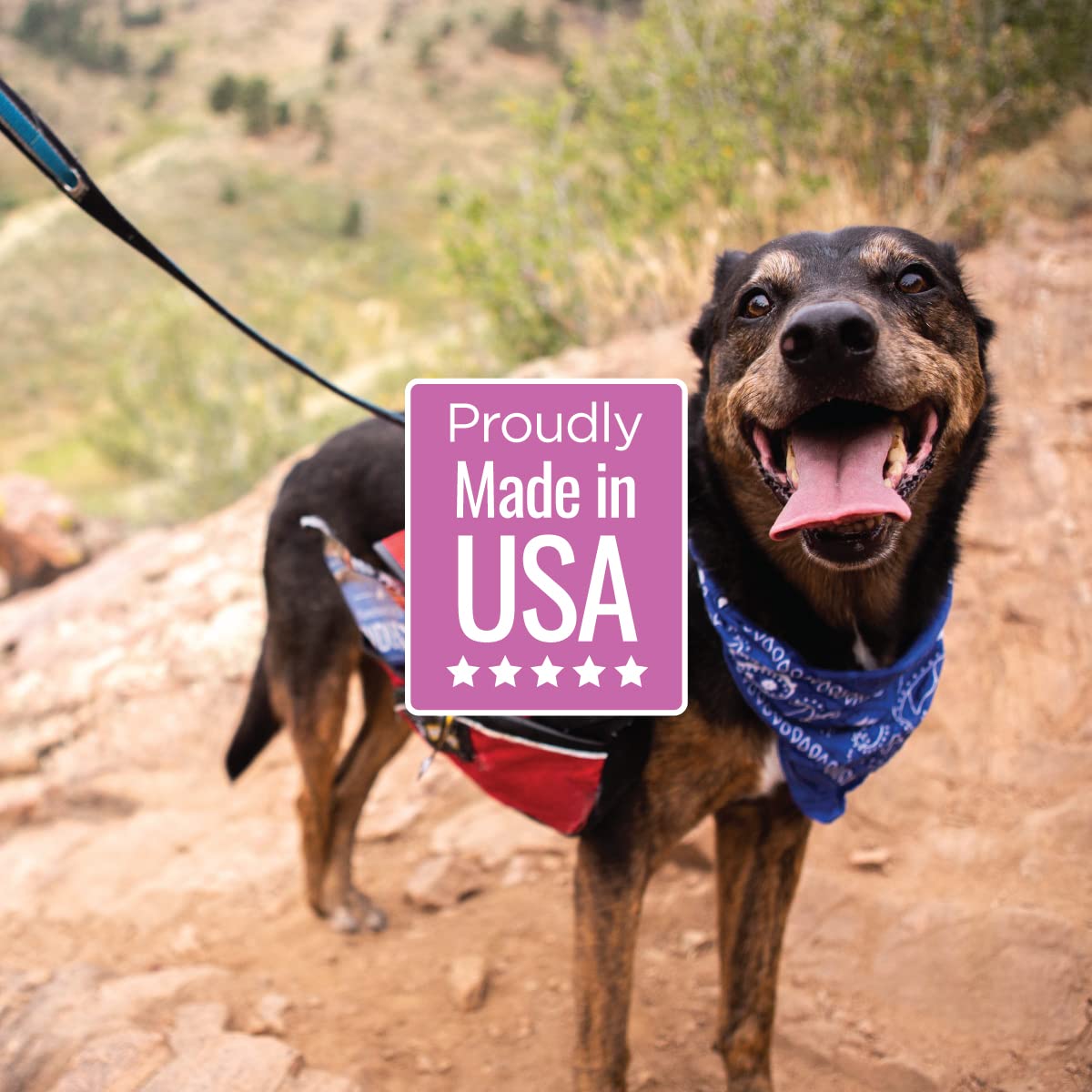 Smart Cookie Duck Jerky Dog Treats with Flax Seed, Omega Oils- Hypoallergenic Strips for Dogs and Puppies with Allergies, Sensit